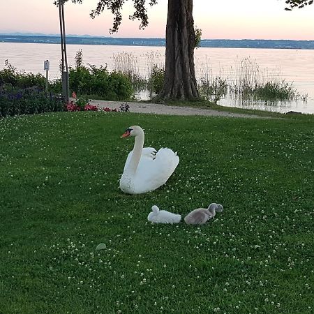 Malvelyns Am Bodensee Immenstaad am Bodensee Extérieur photo