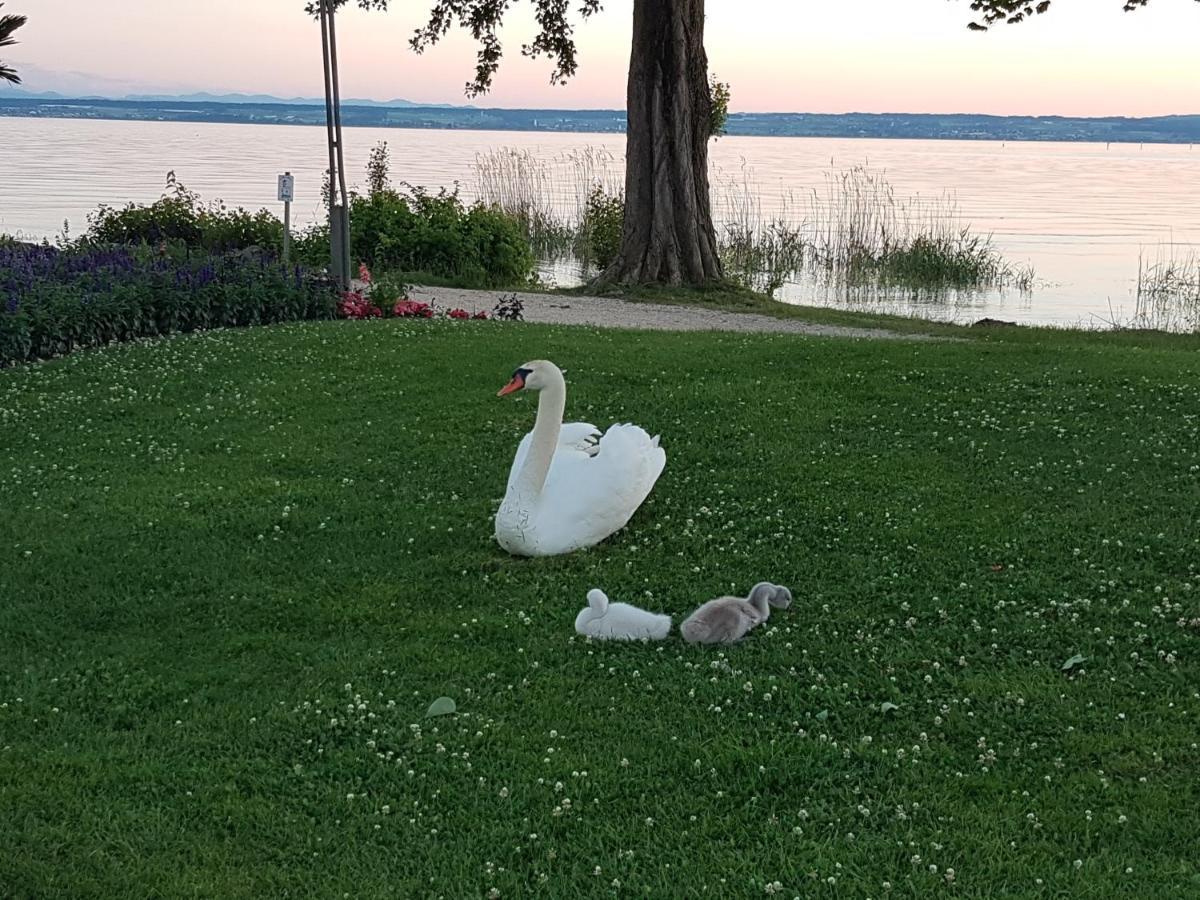 Malvelyns Am Bodensee Immenstaad am Bodensee Extérieur photo